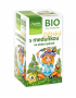 Augļu tēja bērniem, mierīgam miegam BIO 20x2g