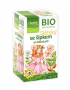 Augļu tēja bērniem ar mežrozītēm BIO 20x2g