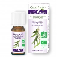 Eucalyptus globulus ēteriskā eļļa BIO 10ml
