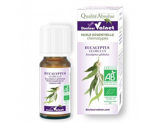 Eucalyptus globulus ēteriskā eļļa BIO 10ml