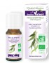 Eucalyptus globulus ēteriskā eļļa BIO 10ml