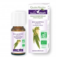 Eucalyptus radiata ēteriskā eļļa BIO 10ml