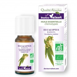 Eucalyptus radiata ēteriskā eļļa BIO 10ml