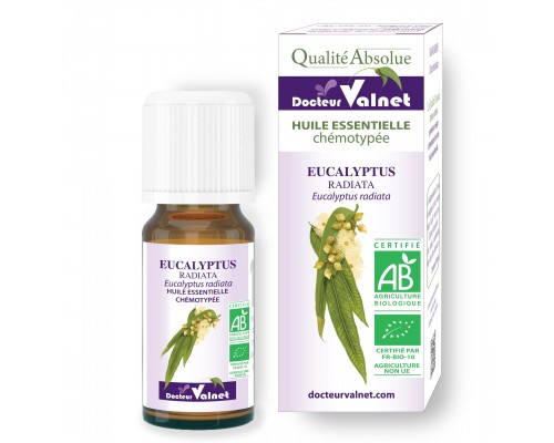 Eucalyptus radiata ēteriskā eļļa BIO 10ml