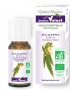 Eucalyptus radiata ēteriskā eļļa BIO 10ml