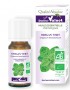Oregano (raudenes) ēteriskā eļļa BIO 5ml