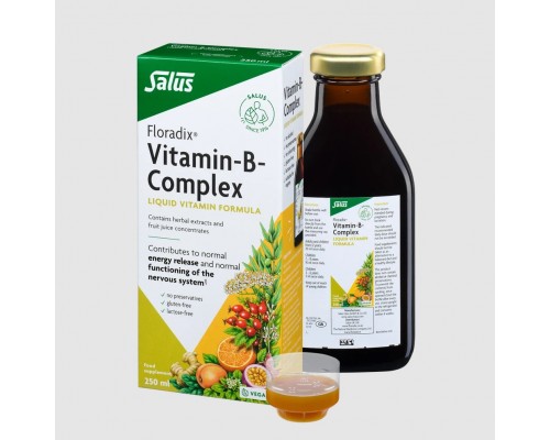 Floradix Vitamin-B-complex 250ml